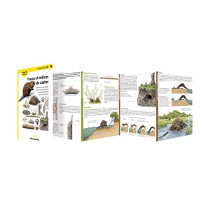 Miniguide 130 - traces et indices de cas