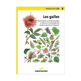 Miniguide 129 - les galles