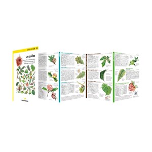 Miniguide 129 - les galles