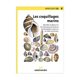 Miniguide 128 - coquillages marins