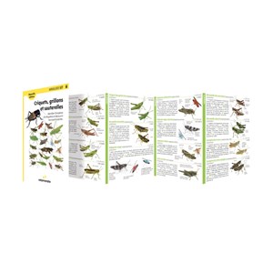 Miniguide 127 - criquets, grillons et sa
