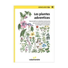 Miniguide 126 - les plantes adventices