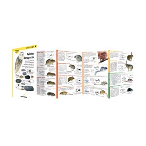 Miniguide 125 - pelotes de rapaces