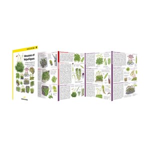 Miniguide 124 - mousses et hépatiques