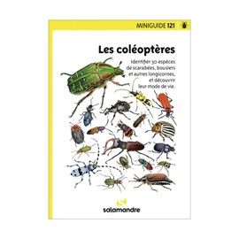 Miniguide 121 - les coléoptères