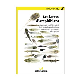 Miniguide 120 - les larves d'amphibiens