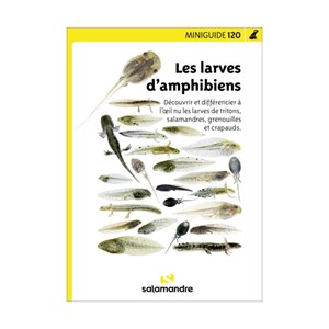 Miniguide 120 - les larves d'amphibiens