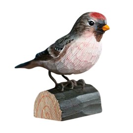 Decobird sizerin flammé