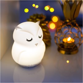 Veuilleuse owl light