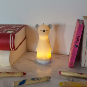 Veilleuse et lampe torche  gris