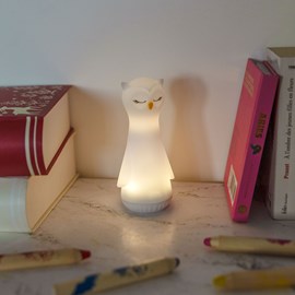 Veilleuse et lampe torche