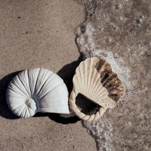 Lot de 2 jouets de dentition