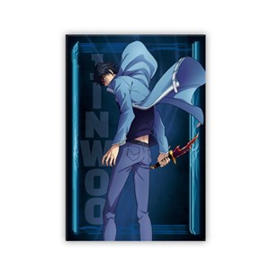 Solo leveling - aimant standard - jinwoo