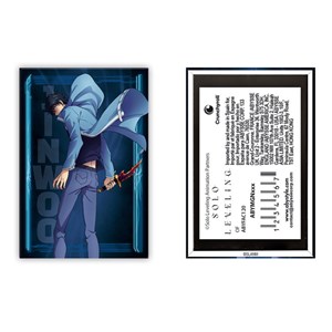 Solo leveling - aimant standard - jinwoo