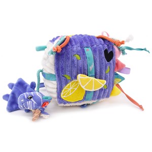 Cube d'activités kiprokos le zèbre