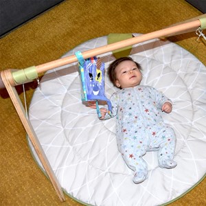 Livre d'éveil kiprokos le zèbre