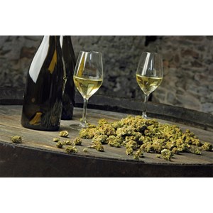 Atelier - vin - nantes