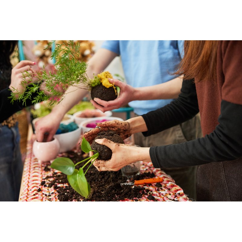 Atelier - kokedama - paris