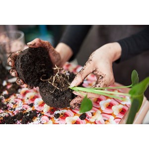 Atelier - kokedama - paris