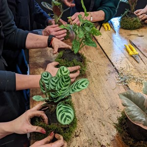 Atelier - kokedama - bordeaux