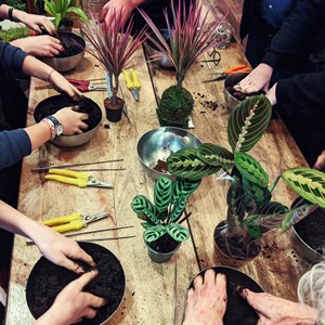 Atelier - kokedama - bordeaux