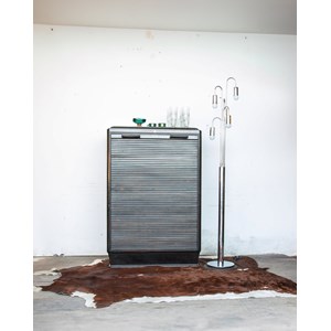 Charlie, le tapis en peau  n°5