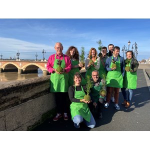 Atelier - kokedama - bordeaux