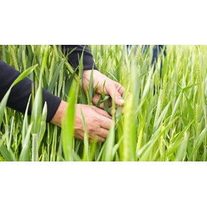 Atelier - farine à la ferme - paris