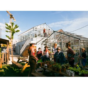 Atelier - bouture, semis - lille