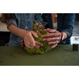 Atelier - kokedama - nantes