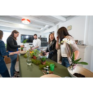 Atelier - kokedama - nantes