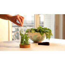 Atelier - crème plantes sauvages - paris