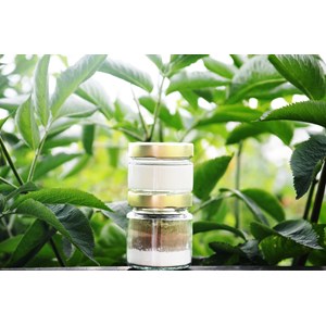 Atelier - shampoing zéro déchet - paris