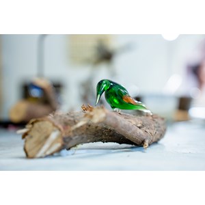 Atelier - filage de verre - lille