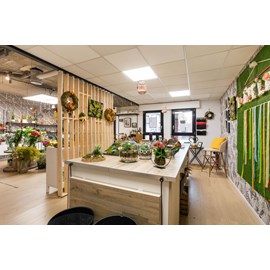 Atelier - kokedama - lille