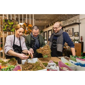 Atelier - kokedama - lille