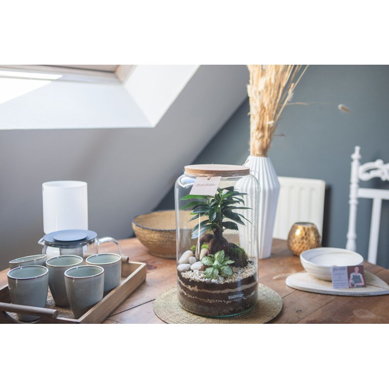 Atelier - terrarium - lille