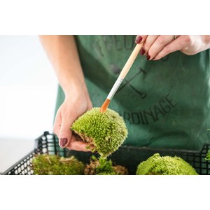 Atelier - terrarium - lille