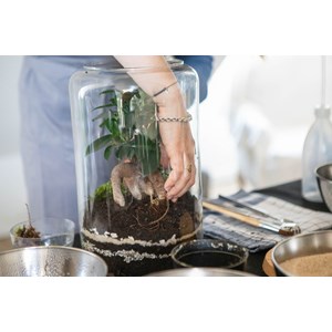 Atelier - terrarium - lille