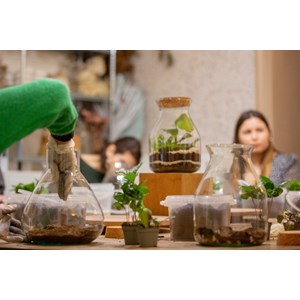Atelier - terrarium - nantes
