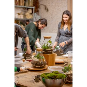 Atelier - terrarium - nantes