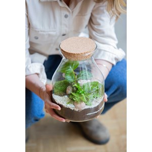 Atelier - terrarium - nantes