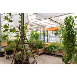 Atelier - ginger beer - nantes