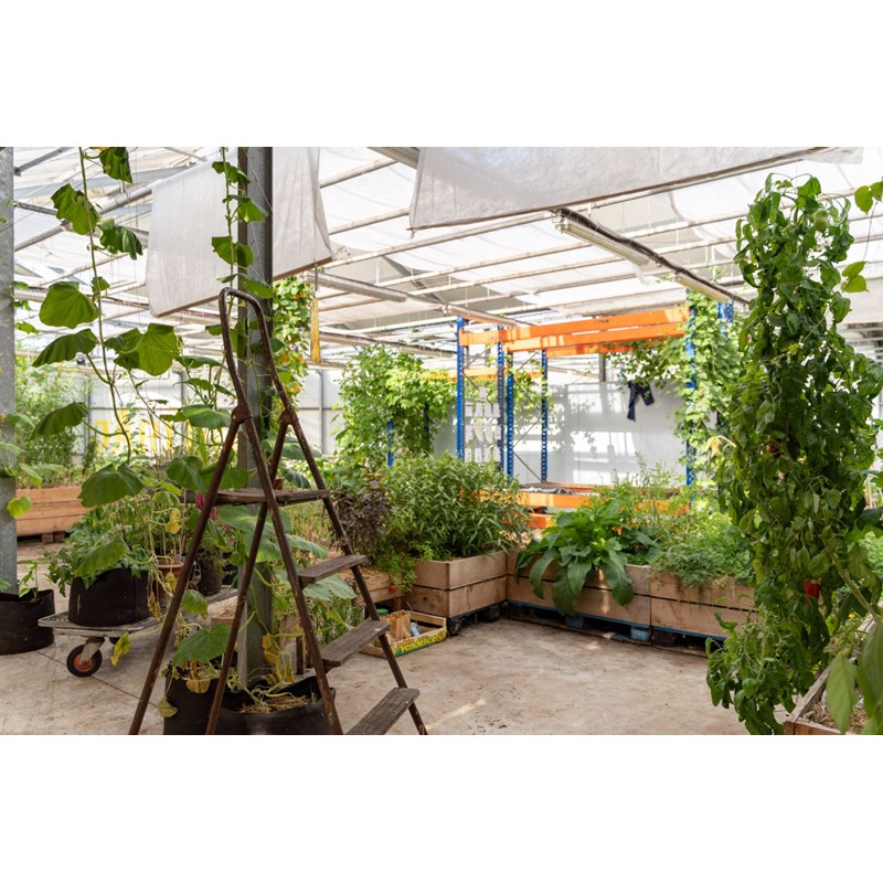 Atelier - ginger beer - nantes