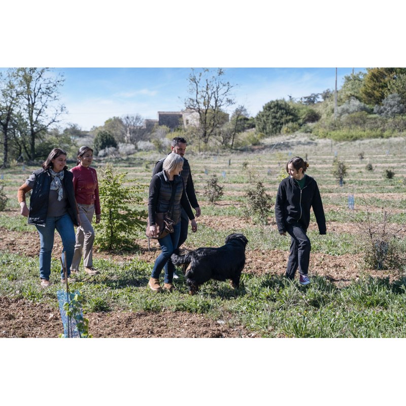 Atelier - plat cuisiné - avignon