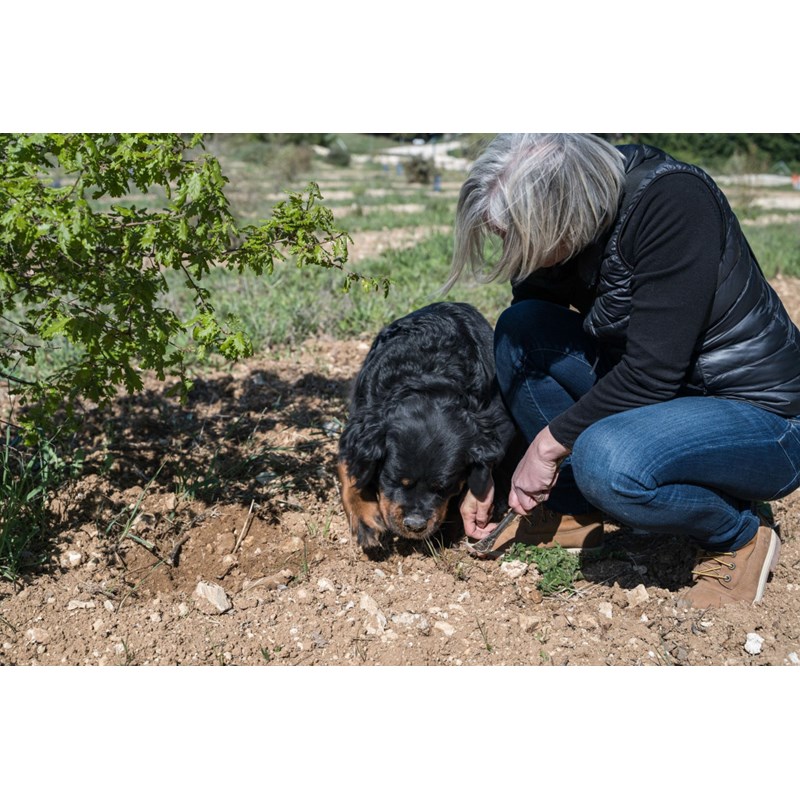Atelier - plat cuisiné - avignon