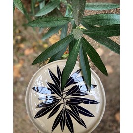 Atelier - poterie - aix-en-provence