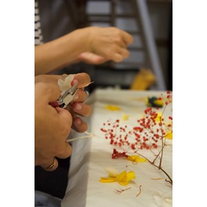 Atelier - boucles d'oreille - marseille