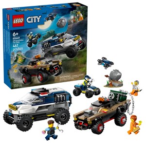City la course-poursuite de la voiture d