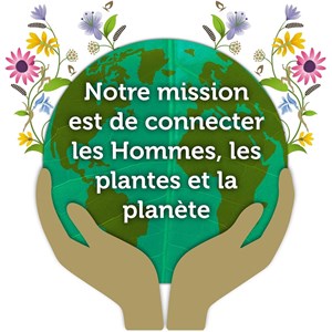 Pukka, pack routine détox infusions bio